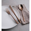 Набор столовых приборов Sambonet Taste Copper 24 пр