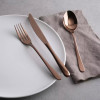 Набор столовых приборов Sambonet Taste Copper 24 пр