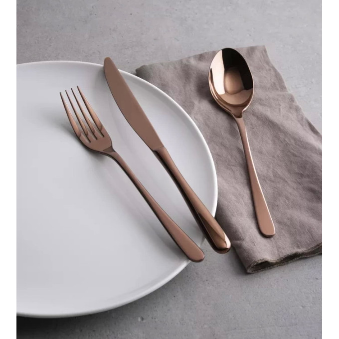 Набор столовых приборов Sambonet Taste Copper 24 пр