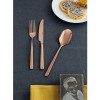 Набор столовых приборов Sambonet Linear Copper 24 пр