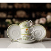 Сервиз кофейный Tognana Iris Botanico IR085133457