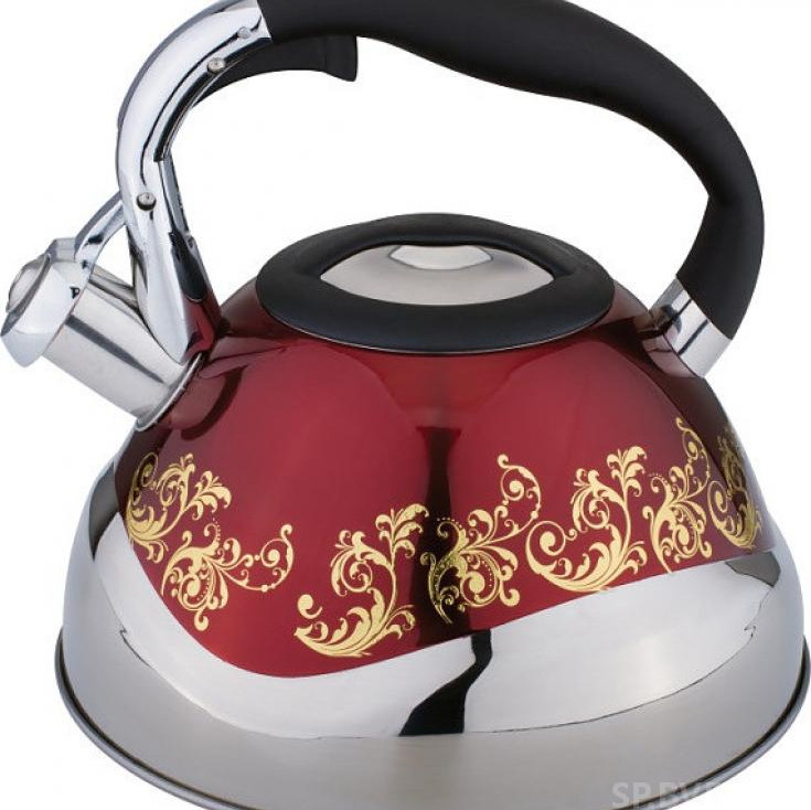 Чайник металлический Zigen ZG 553 2.7 л