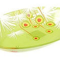 Селёдочница Luminarc Pop Flowers Green C6155