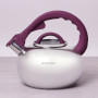 Чайник металлический Kamille 0687A 2.8 л