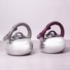 Чайник металлический Kamille 0687A 2.8 л