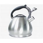 Чайник металлический Hoffmann HM 5511 3.7л