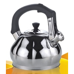 Чайник металлический Hoffmann HM 5534 3.3л