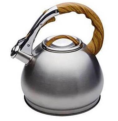 Чайник металлический Hoffmann HM 5545 3.0л