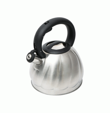 Чайник металлический Wellberg WB 6223 2.7л