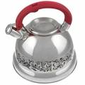 Чайник металлический Wellberg WB 6168 4.7л