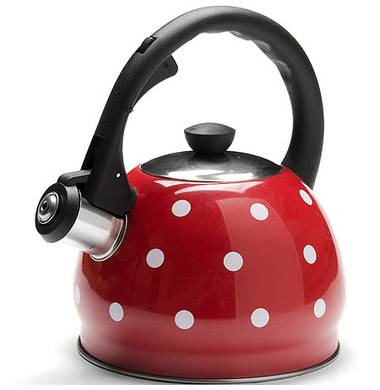 Чайник металлический Mayer&Boch MB 25893 2л