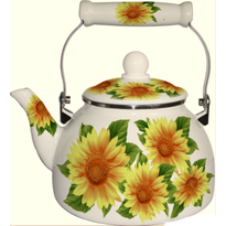 Чайник эмалированный Mercury MC-7526 2,2 л