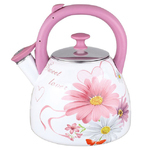 Чайник эмалированный Чудесница ЭЧ-3004 3 л