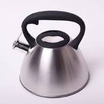 Чайник металлический Kamille KM-0651 3 л