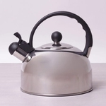 Чайник металлический Kamille KM-0679 2,5 л