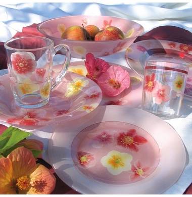 Столовый сервиз Luminarc Poeme Rose E0131 38+7 пр