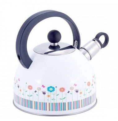 Чайник металлический Kamille KM-1079 1,8 л