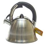 Чайник металлический Hoffmann HM 55103 3,3 л