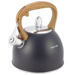 Чайник металлический Kamille KM-1096 2.5 л