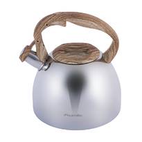 Чайник металлический Kamille KM-1090 2.7 л 