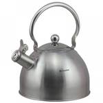 Чайник металлический Rainstahl RS-7613-30 3 л