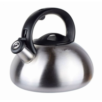 Чайник металлический Feniks MAX FN-5010 3 л