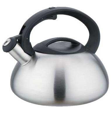 Чайник металлический Webber BE-0587/1 3 л