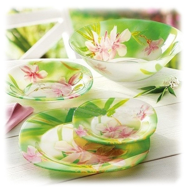 Сервиз столовый Luminarc Carine Freesia P9420 19 пр