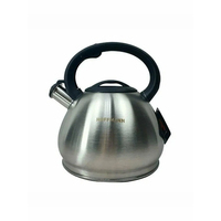 Чайник Hoffmannhm HM-15579 3,3 л
